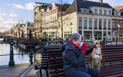 Symposium over het Sociaal en Cultureel Planbureau: Presentatie van het rapport ‘Luisteren, zien en helpen in het sociaal domein’