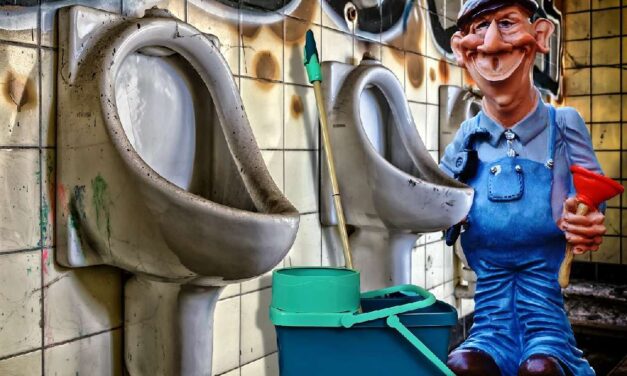 Geen inclusieve steden zonder voldoende openbare toiletten