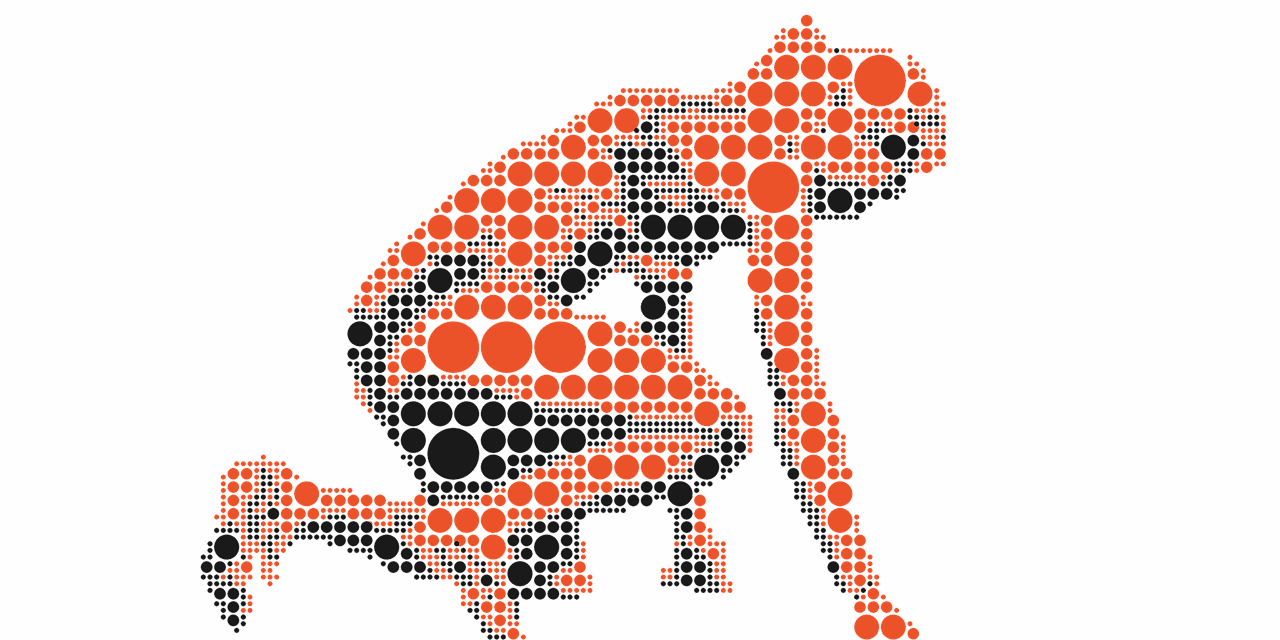 Meer kansen voor starters in regio Amsterdam na invoering puntensysteem