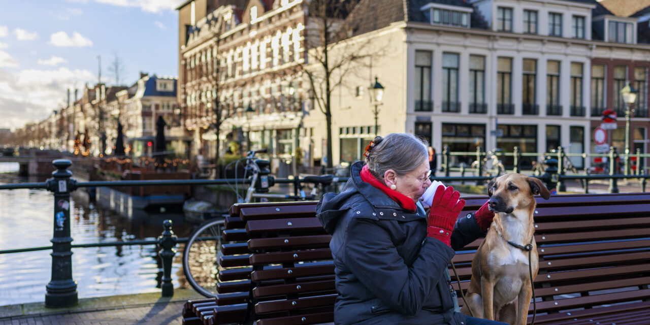 Waarom slaat dit niet in als een bom