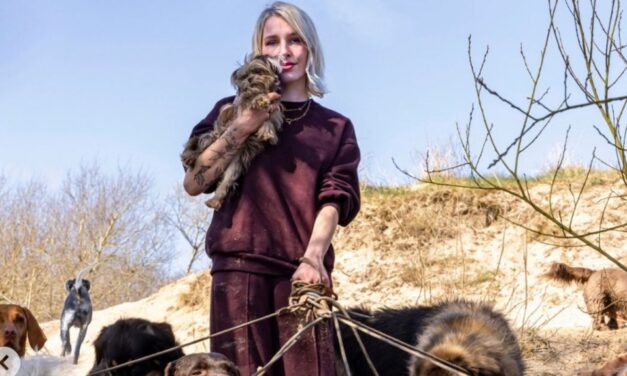 Expositie over krachten, dromen en talenten van daklozen in Open Amare